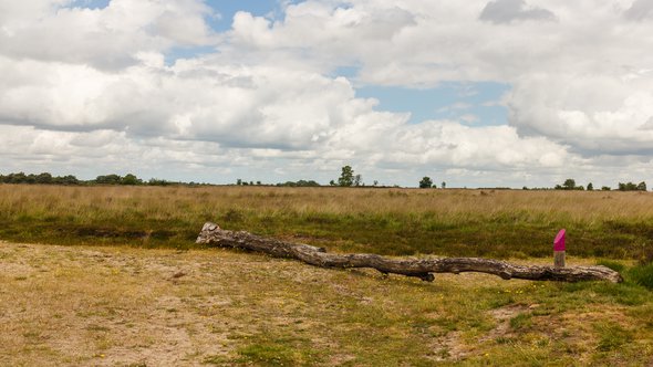 natuurgebied natura2000 drenthe | wikimedia commons / Agnes Monkelbaan / CC BY-SA 4.0 door Agnes Monkelbaan (bron: Wikimedia Commons)