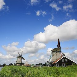 groen nederland molen