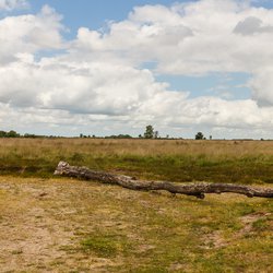 natuurgebied natura2000 drenthe | wikimedia commons / Agnes Monkelbaan / CC BY-SA 4.0 door Agnes Monkelbaan (bron: Wikimedia Commons)