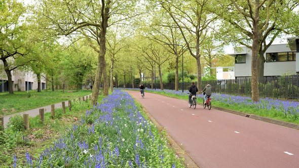 Fietsers richting Philips de Jong-park in Eindhoven door Svetlana K Tarakanova (bron: shutterstock)