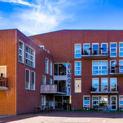 Seniorenwoning in Zeeland door Charlotte Bleijenberg (bron: Shutterstock)