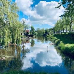 Zaanse Schans_Photo by Aswathy N on Unsplash door Aswathy N (bron: Unsplash)