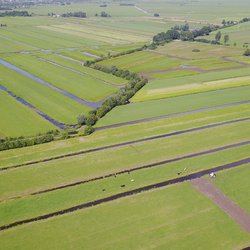 Groene Hart door Peter van Haastrecht (bron: Shutterstock)