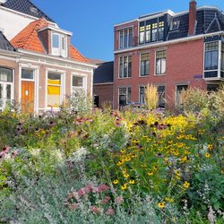 Groene Oase tussen gebouwen in door Rene Notenbomer (bron: Shutterstock)
