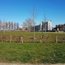 Koningspark op de Groene Loper, Maastricht door Kleon3 (bron: Wikimedia Commons)