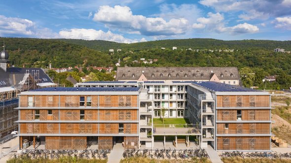 Collegium Academicum Heidelberg door nai010 publishers (bron: nai010 publishers)