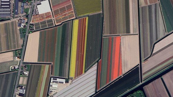 Tulpenvelden door Aerial Viewer (bron: Shutterstock)
