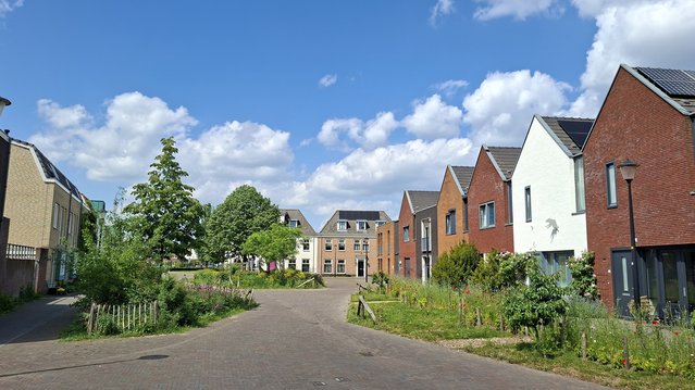 Centrumgebied, vergroening door bewoners door Haan & Laan (bron: Haan & Laan)