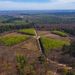 Utrechtse Heuvelrug door MPPhotograph (bron: Shutterstock)