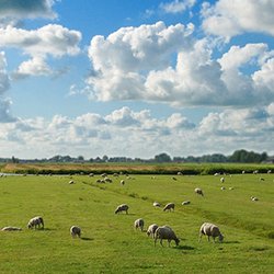 2015.04.22_De economische vitaliteit van kleine kernen_660