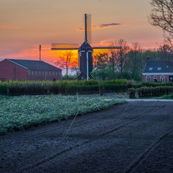 Nederlandse landbouwgrond in het dorp Zundert, Noord-Brabant, met een oude windmolen tijdens kleurrijke zonsondergang door Milos Ruzicka (bron: Shutterstock)
