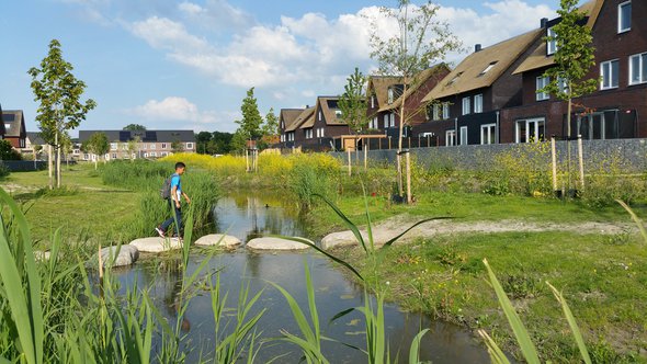 Klimaatadaptieve nieuwbouw in Boszoom, Pijnacker door Nanda Sluijsmans (bron: Flickr)