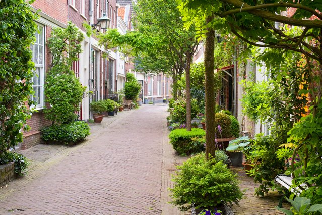 Rustige straat in Haarlem door SergiyN (bron: Shutterstock.com)