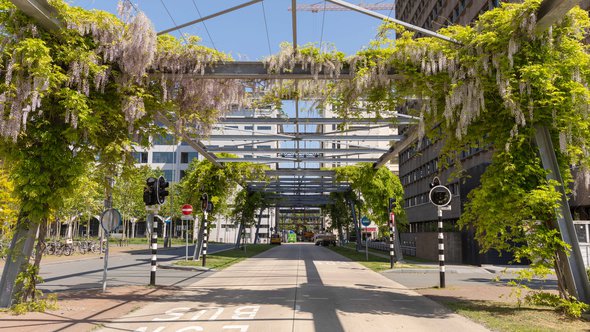 Eindhoven, Nederland door Lea Rae (bron: Shutterstock)