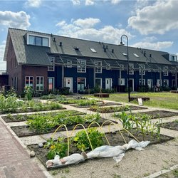 Hugo's Tuin door Cittanova (bron: Cittanova)