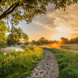 Nederlandse natuur door Photodigitaal.nl (bron: shutterstock.com)