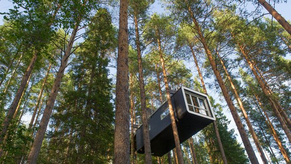 HARADS, SWEDEN - 29 JULY 2017 : The Cabin a modern treehouse in the woods , Harads, Sweden door O.C Ritz (bron: shutterstock)