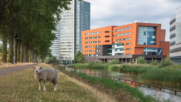 Hoofddorp door Milos Ruzicka (bron: Shutterstock)