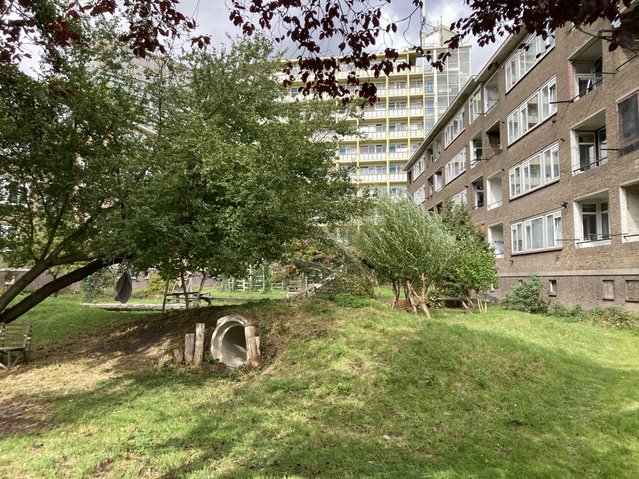 Tuin Cultuurwerkplaats Tarwewijk door Teun van den Ende (bron: Teun van den Ende)