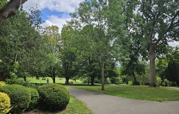 Waterloo Park in Highgate door Maaike Schravesande (bron: Maaike Schravesande)
