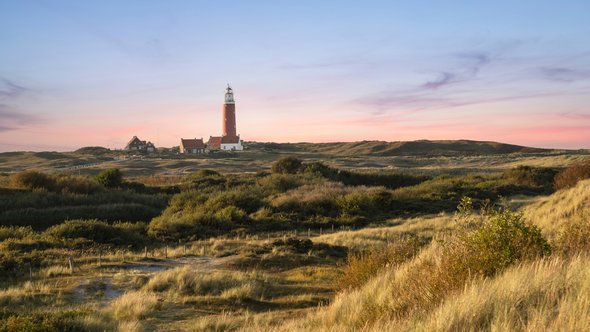 Duinen op Texel. door Jan van der Wolf (bron: Shutterstock)