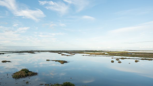 Marker Wadden door Theo Baart (bron: Theo Baart)