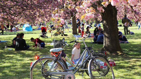 Lente in een park in Frankrijk door Elena Skalovskaia (bron: Shutterstock)