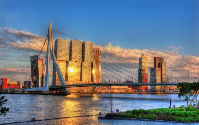 De Erasmusbrug en de Rotterdam in Rotterdam door Leonid Andronov (bron: Shutterstock)