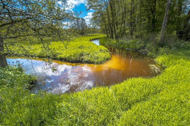 Nationaal Park Drentsche Aa door Rudmer Zwerver (bron: shutterstock)