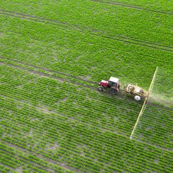 Spring agricultural work in the fields. The tractor sprays crops with herbicides, insecticides and pesticides. door mykhailo pavlenko (bron: Shutterstock)