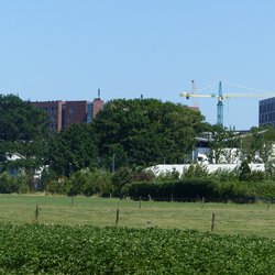 wageningen omgeving