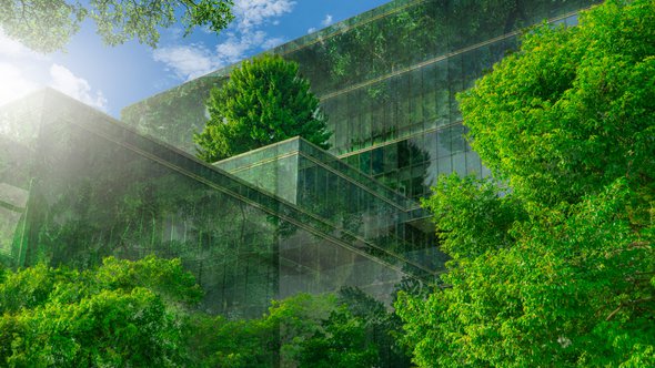 Bomen  voor gebouw door Fahroni (bron: shutterstock.com)