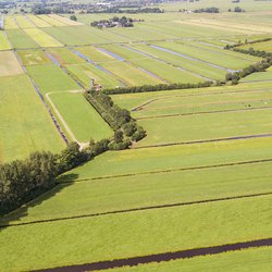 Het Groene Hart door Peter van Haastrecht (bron: Shutterstock)