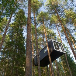 HARADS, SWEDEN - 29 JULY 2017 : The Cabin a modern treehouse in the woods , Harads, Sweden door O.C Ritz (bron: shutterstock)