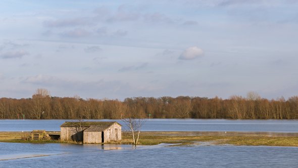 IJssel high water door Agami Photo Agency (bron: Shutterstock)
