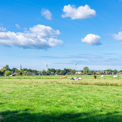 Landelijk landschap in Nederland door Menno van der Haven (bron: Shutterstock)