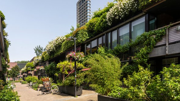 Groene straat in het centrum van Eindhoven door Lea Rae (bron: Shutterstock)