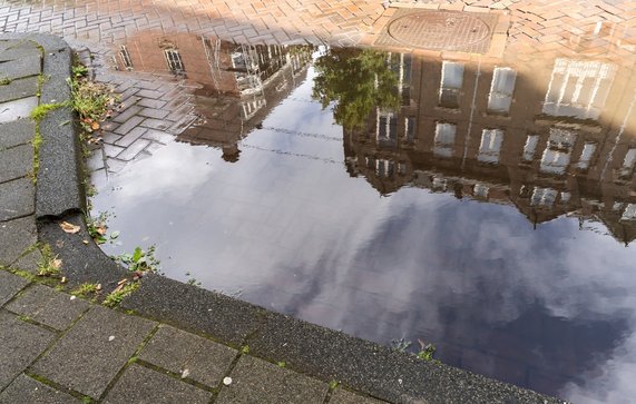 Een plasje in Amsterdam door Hazel Plater (bron: shutterstock)