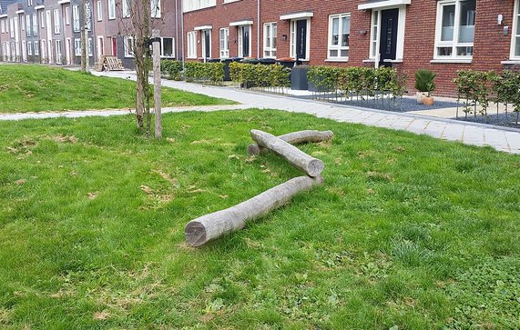 Openbare_ruimte,_speelelement,_natuurlijk_spelen_(38619781312) door Nanda Sluijsmans (bron: Nanda Sluijsmans)