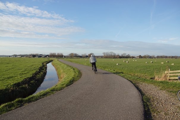 Egmondermeergebied door Thijs de Graaf (bron: shutterstock)
