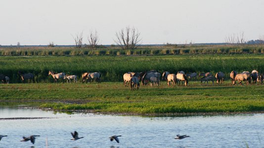 2014.10.07_Overleven in de nieuwe wildernis_660