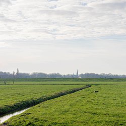 Polderlandschap door Wut_Moppie (bron: Shutterstock)