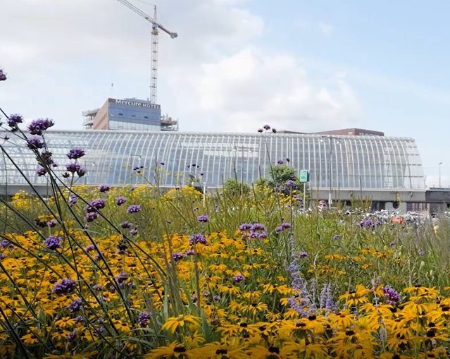 Station Sloterdijk.jpg door Andrew Kambel (bron: Universiteit van Amsterdam)