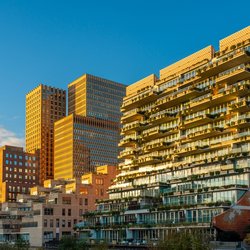 Zuidas Amsterdam door Milos Ruzicka (bron: Shutterstock)