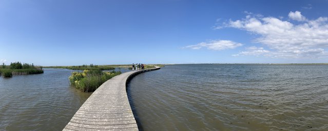 markerwadden door Madelien Kindt (bron: Madelien Kindt)