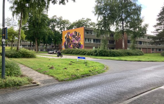 Emmerhout, Emmen door Teun van den Ende (bron: Teun van den Ende)