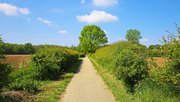 Beautiful dutch landscape, empty cycle path between green hedgerows in countryside, blue spring sky - Maasheggen biosphere reserve, Netherlands door Ralf Liebhold (bron: Shutterstock)
