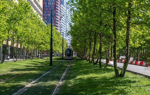 Tram in Rotterdam door rawf8 (bron: Shutterstock)