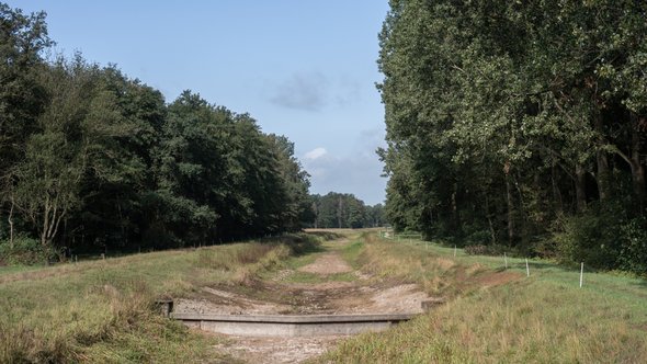 Droge kreek tijdens de hete zomer door AnoukHPhotography (bron: Shutterstock)