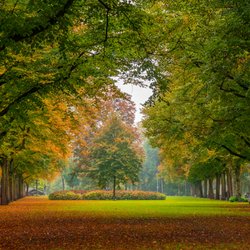 Herfst in Rotterdams stadspark door k_samurkas (bron: Shutterstock.com)